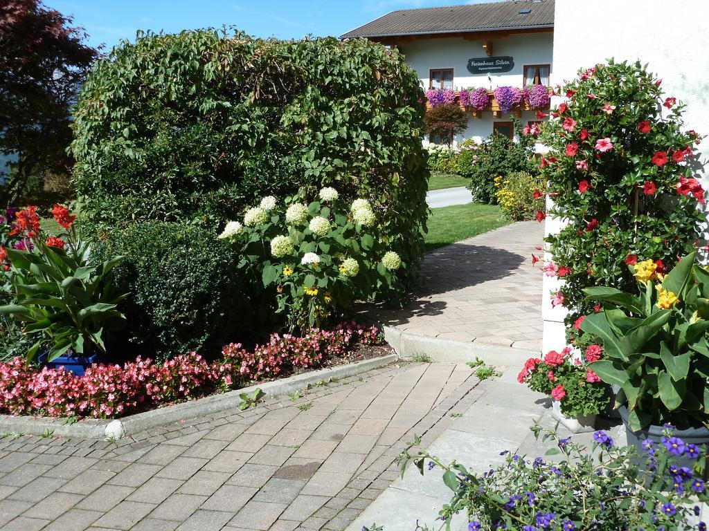 Haus Silvia Daire Werfenweng Dış mekan fotoğraf